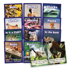 Junior Learning Science Decodable Reading Books - Phase 3