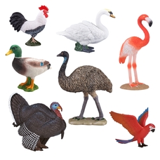 Birds Set from Hope Education - Pack of 7