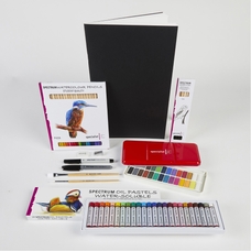Specialist Crafts Mixed Media INTRO Pack - Standard Box