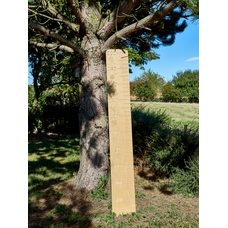 Height Ruler from Hope Education - 210cm
