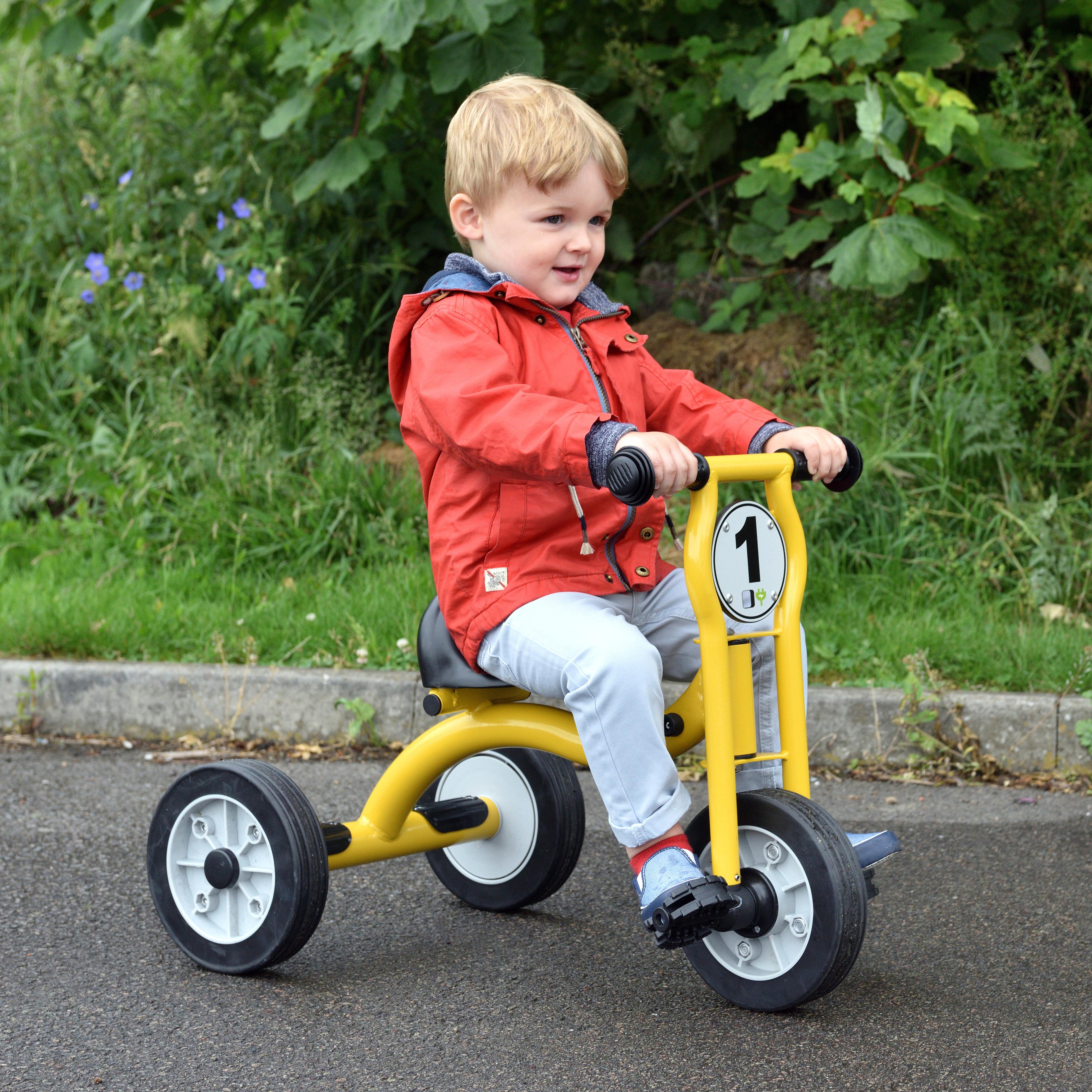 Wisdom Small Trike