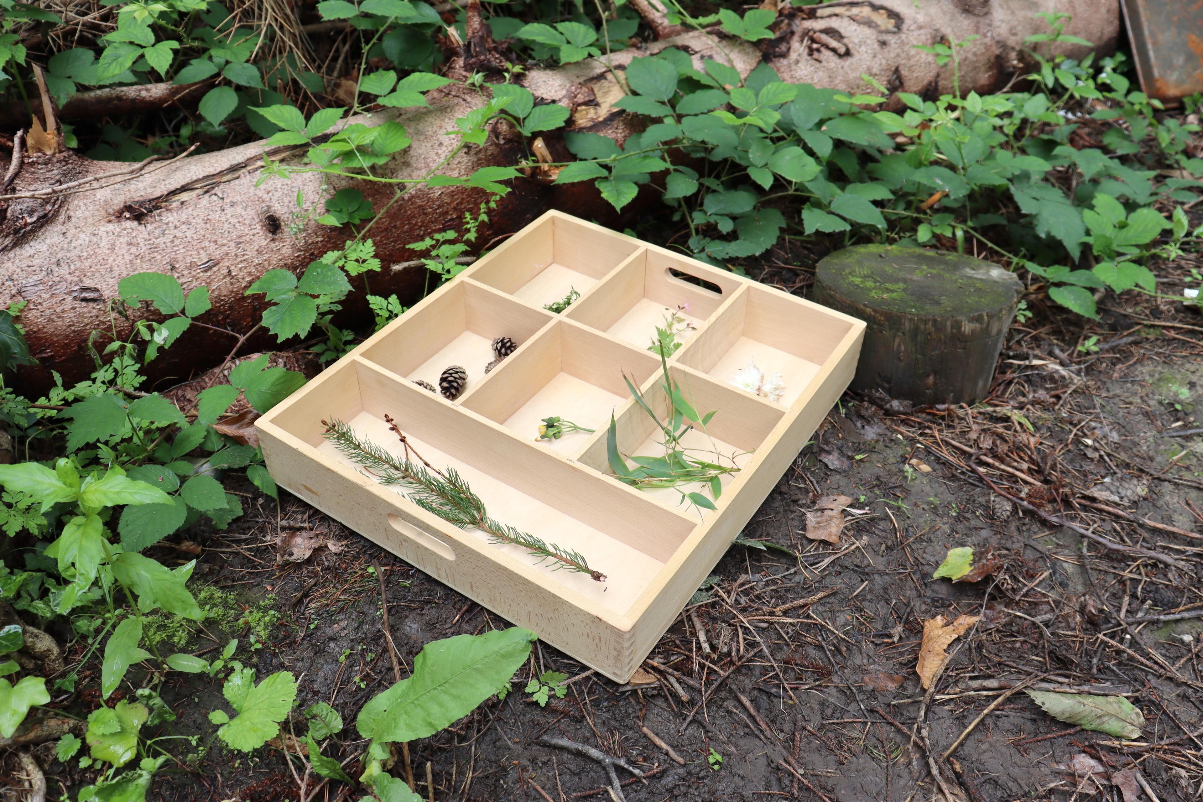 tickit Wooden Sorting Tray - 7 Way