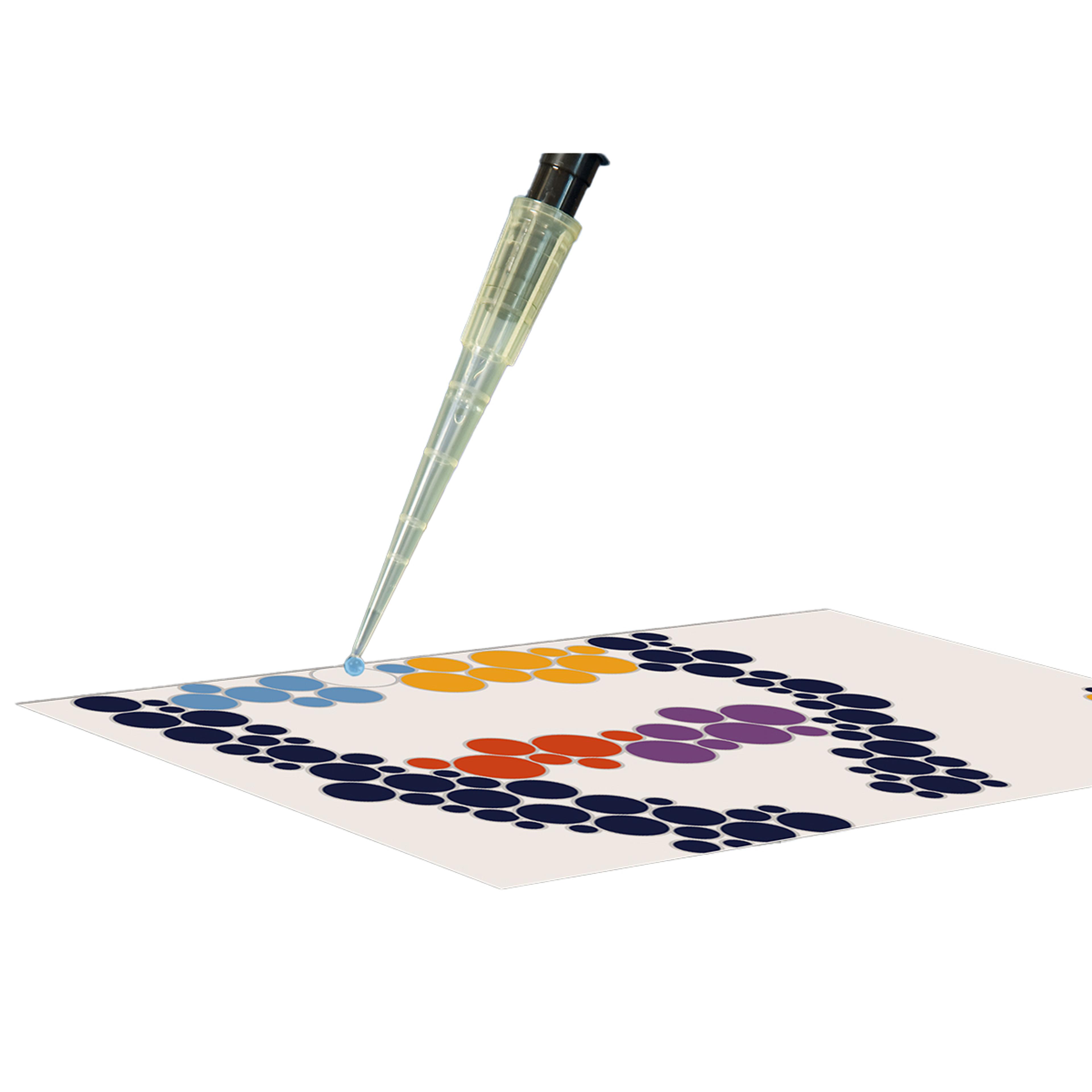 EDVOTEK Pipetting by Numbers - STEAM Pipetting Practice