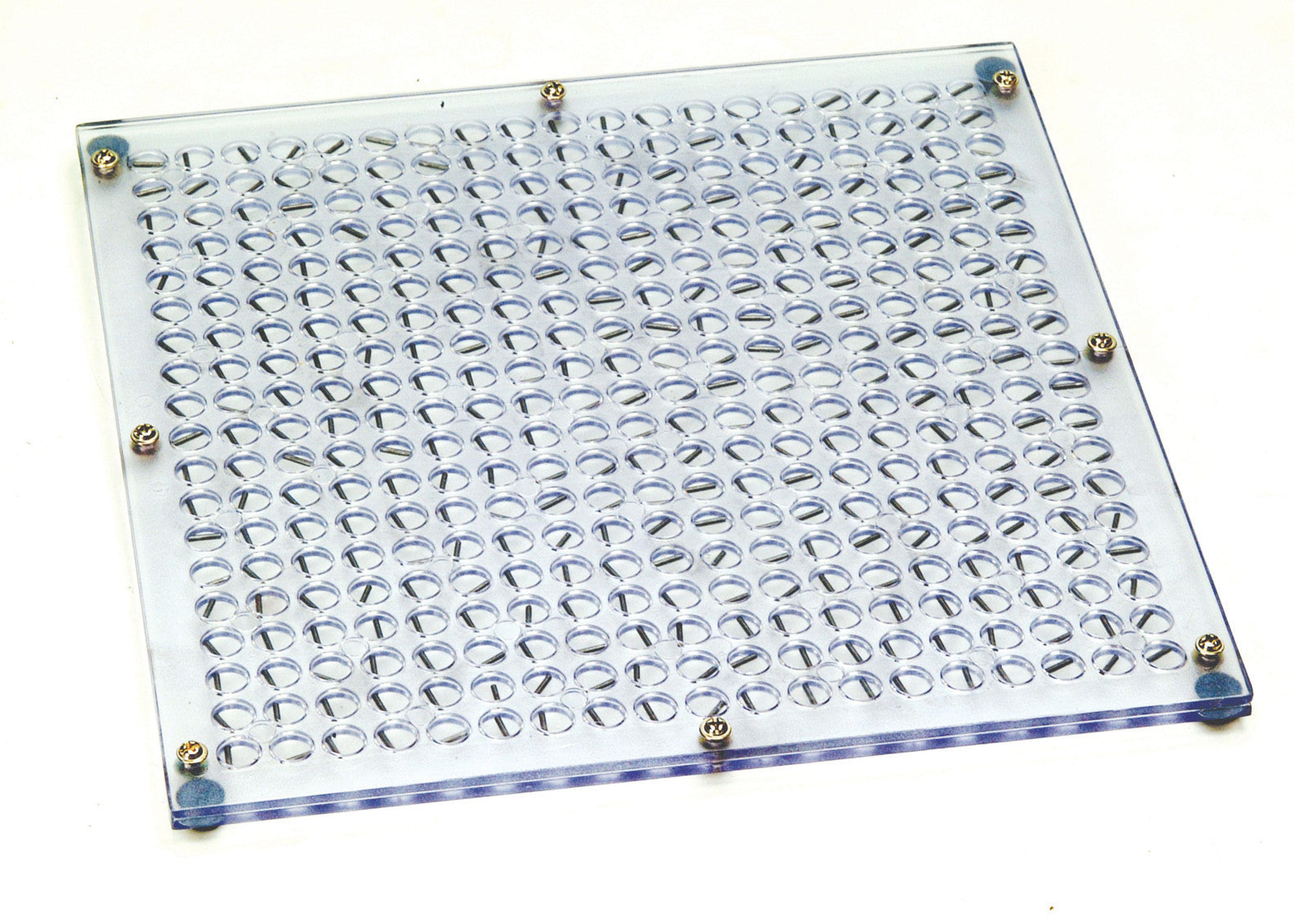 eisco Magnetic Field Demonstration Plate - Large