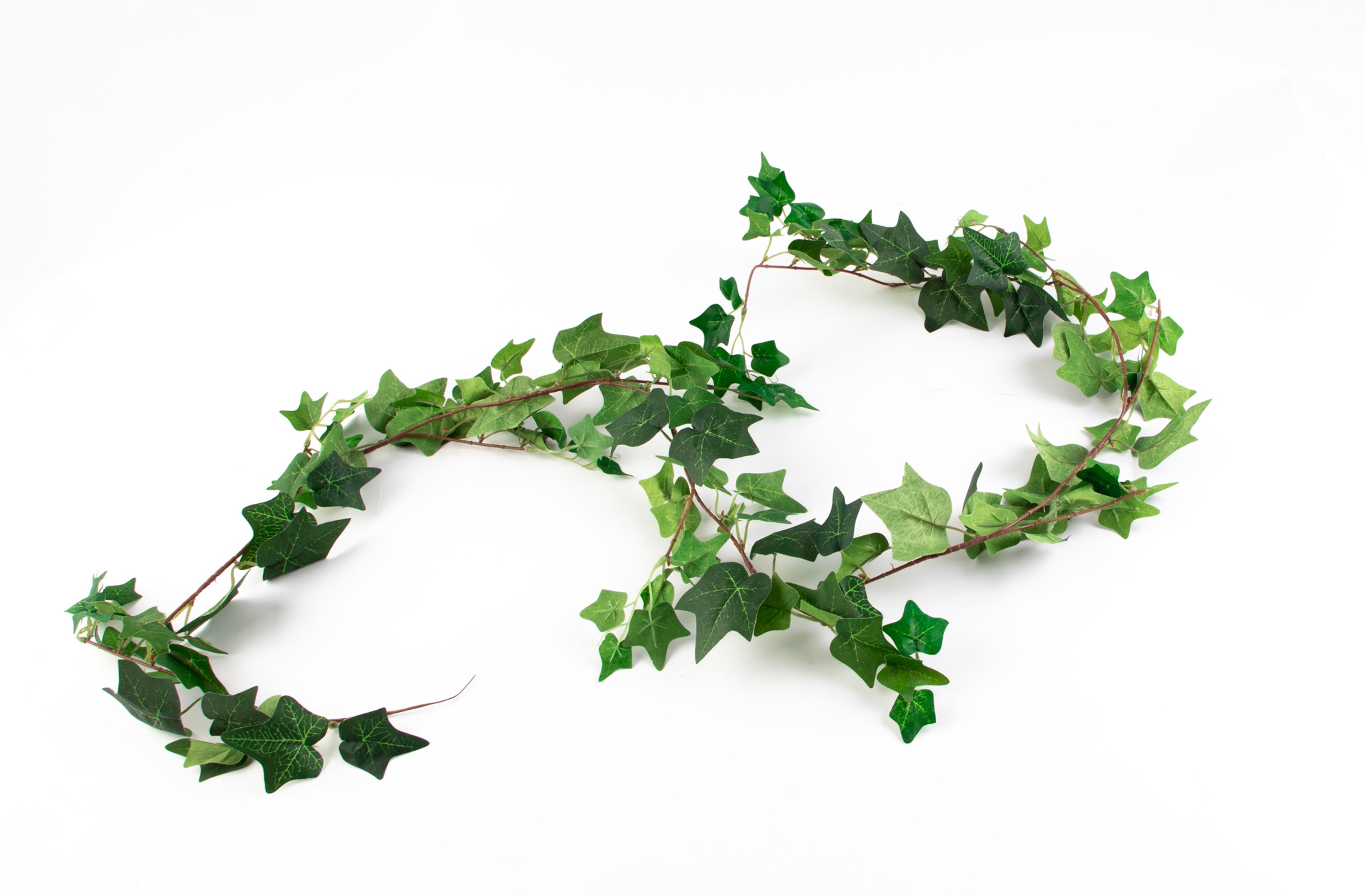 Artificial Ivy Garland 2.0m from Hope Education