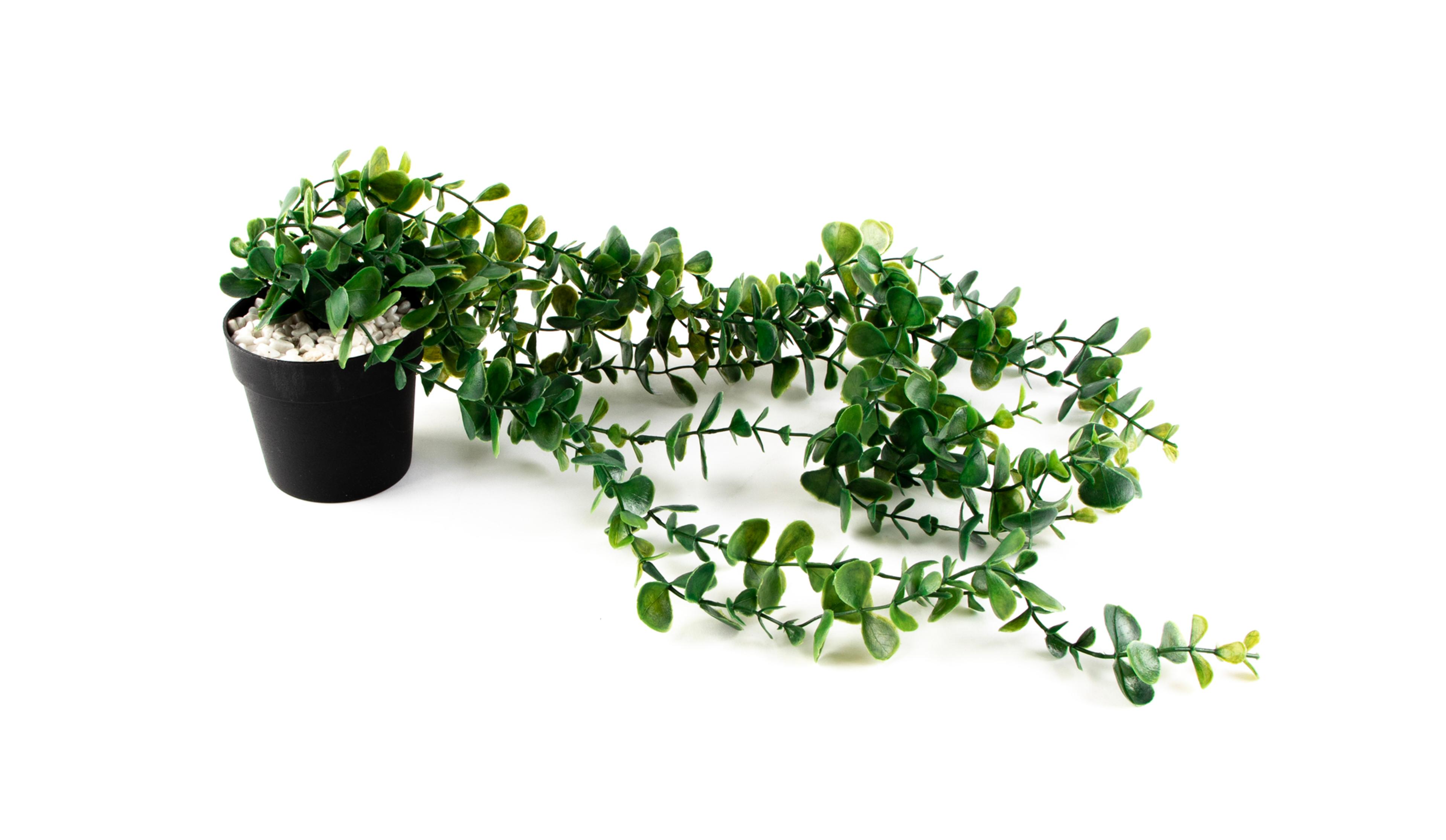 Artificial Trailing Plant from Hope Education
