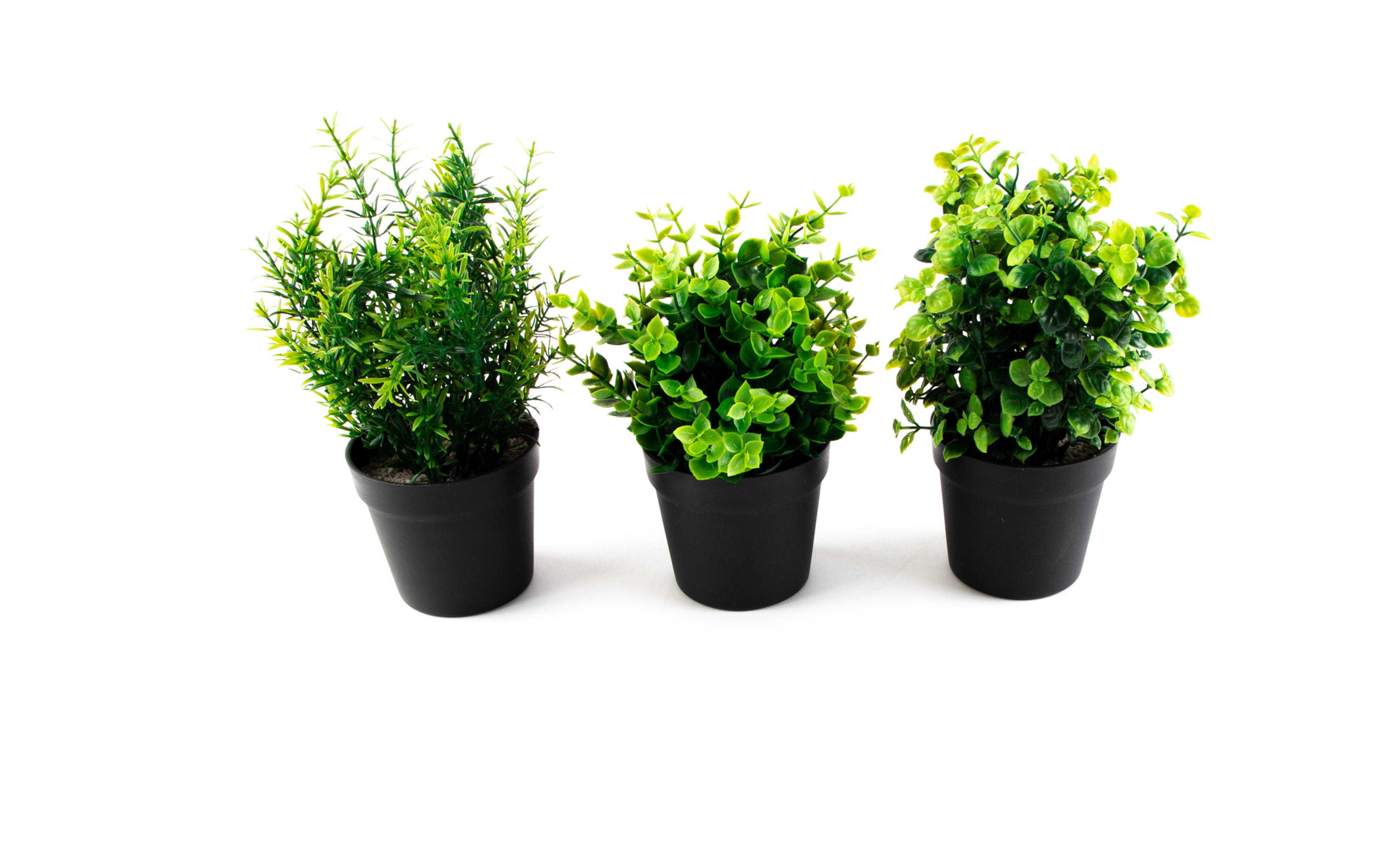 Artificial Potted Plants from Hope Education - Pack of 3