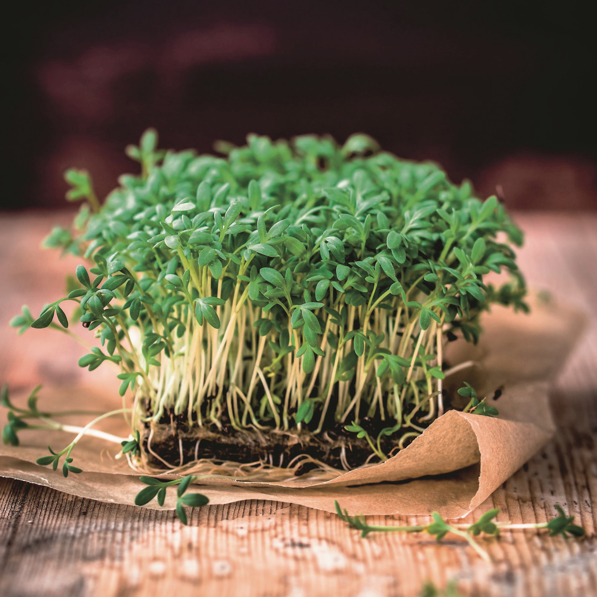 Cress seeds deals