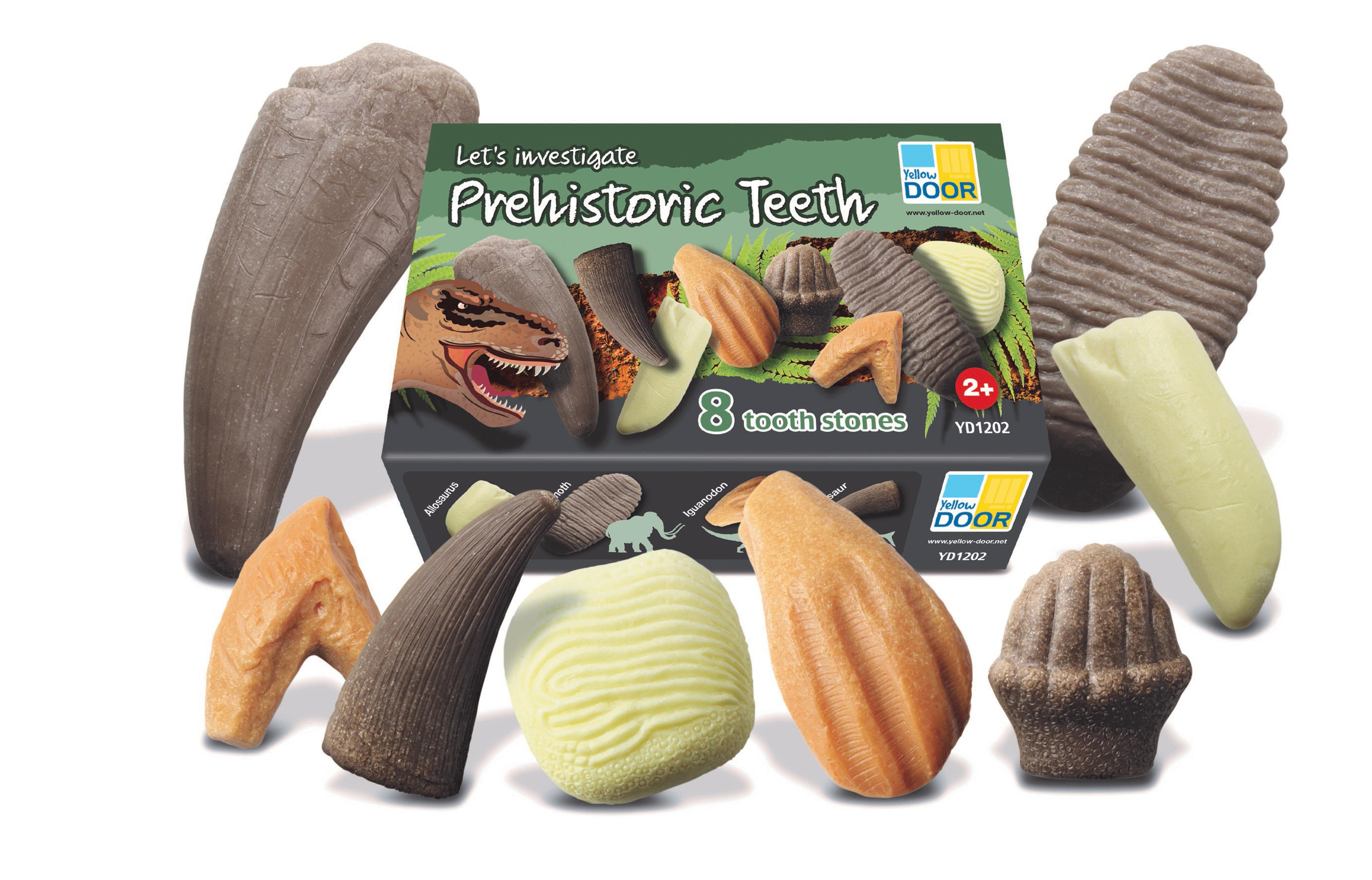 Yellow DOOR Let's Investigate Prehistoric Teeth - Set of 8