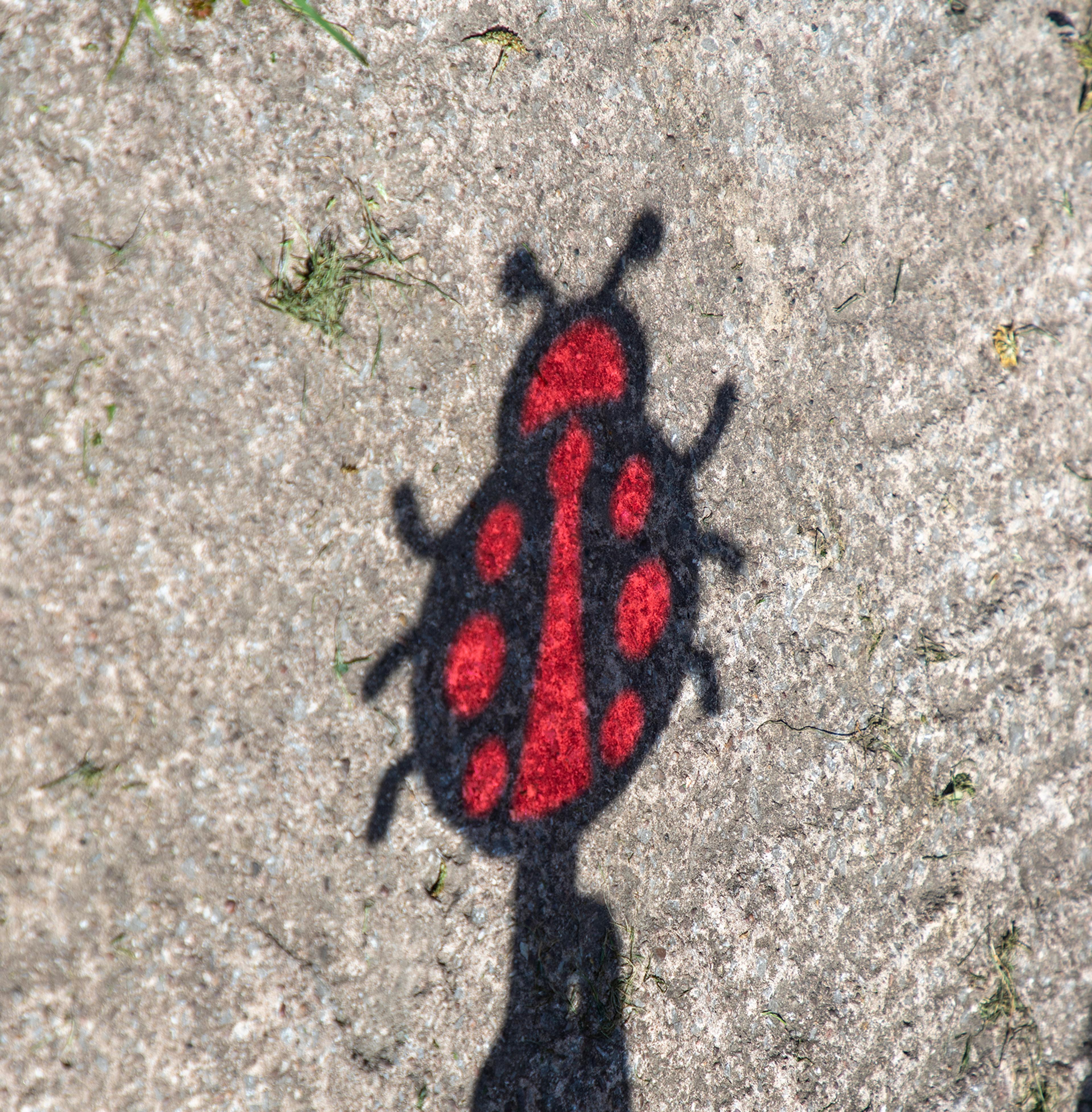 Image 14