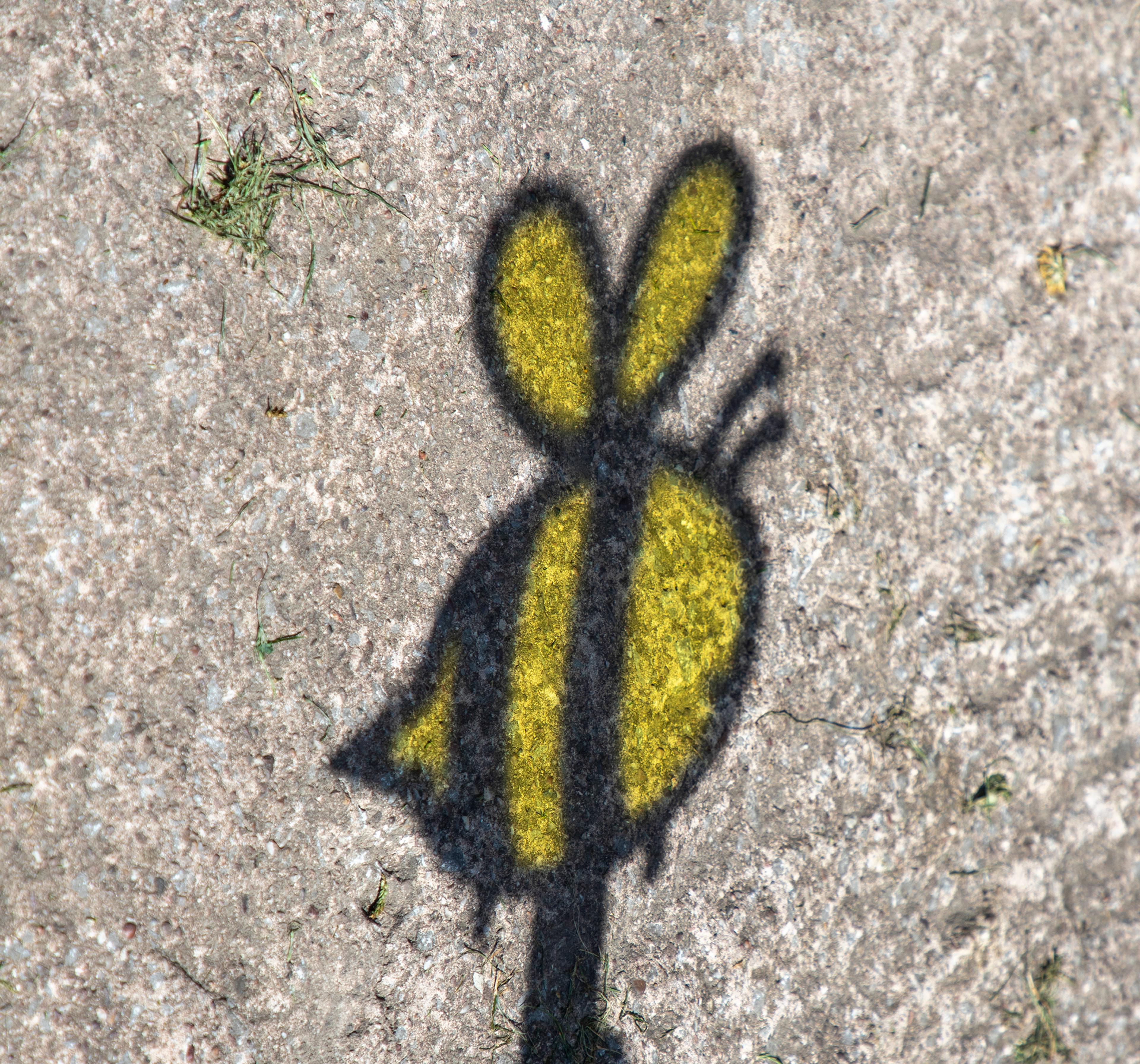 Image 17