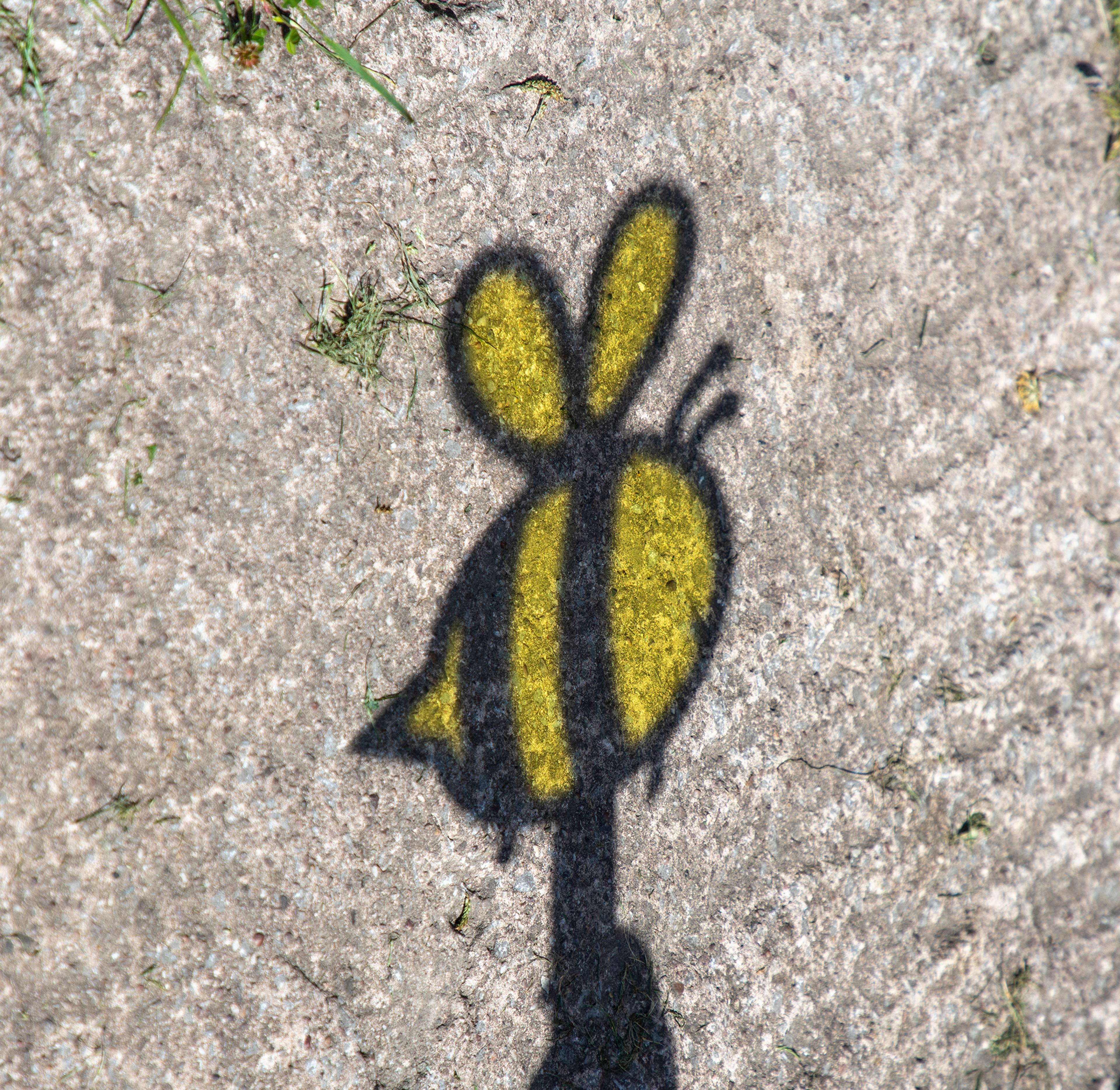 Image 26