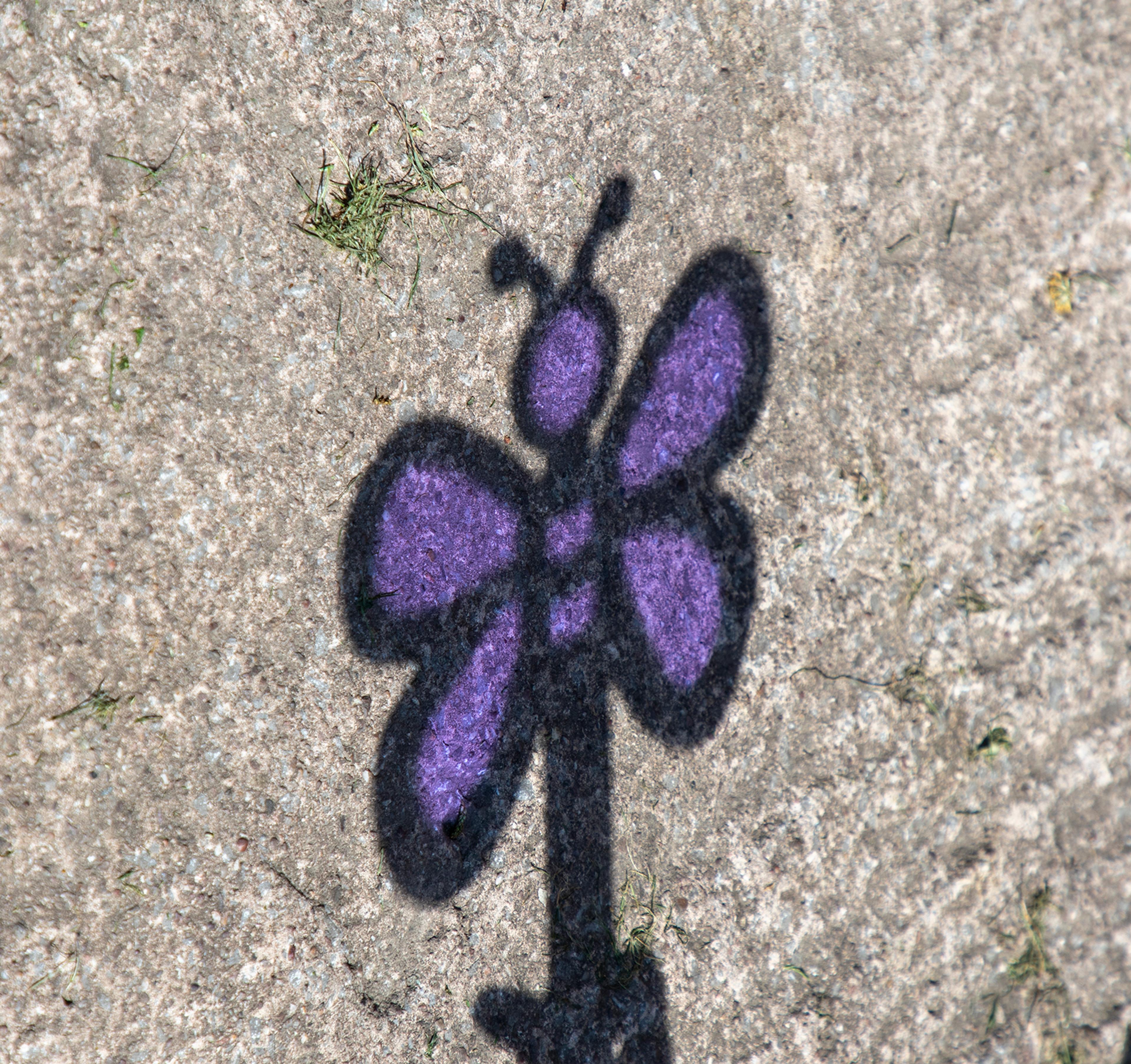 Image 20