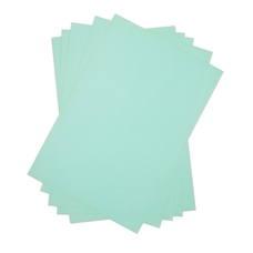 Poster Sheets 51x76 Peppermint Pack of 25
