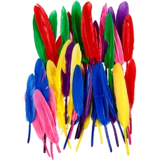 Coloured Feathers - 13cm - Pack of 48