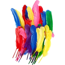 Coloured Feathers - 20cm - Pack of 36