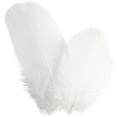 White Goose Feathers - 3g
