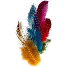 Coloured Speckled Feathers - 3g