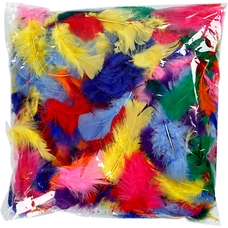 Coloured Feathers - 50g