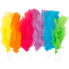 Bright Coloured Feathers - Pack of 18