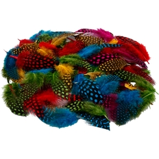 Coloured Speckled Feathers - 50g