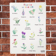 UK Plants Outdoor Sign from Hope Education