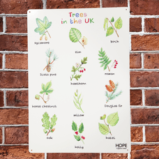 UK Trees Outdoor Sign from Hope Education