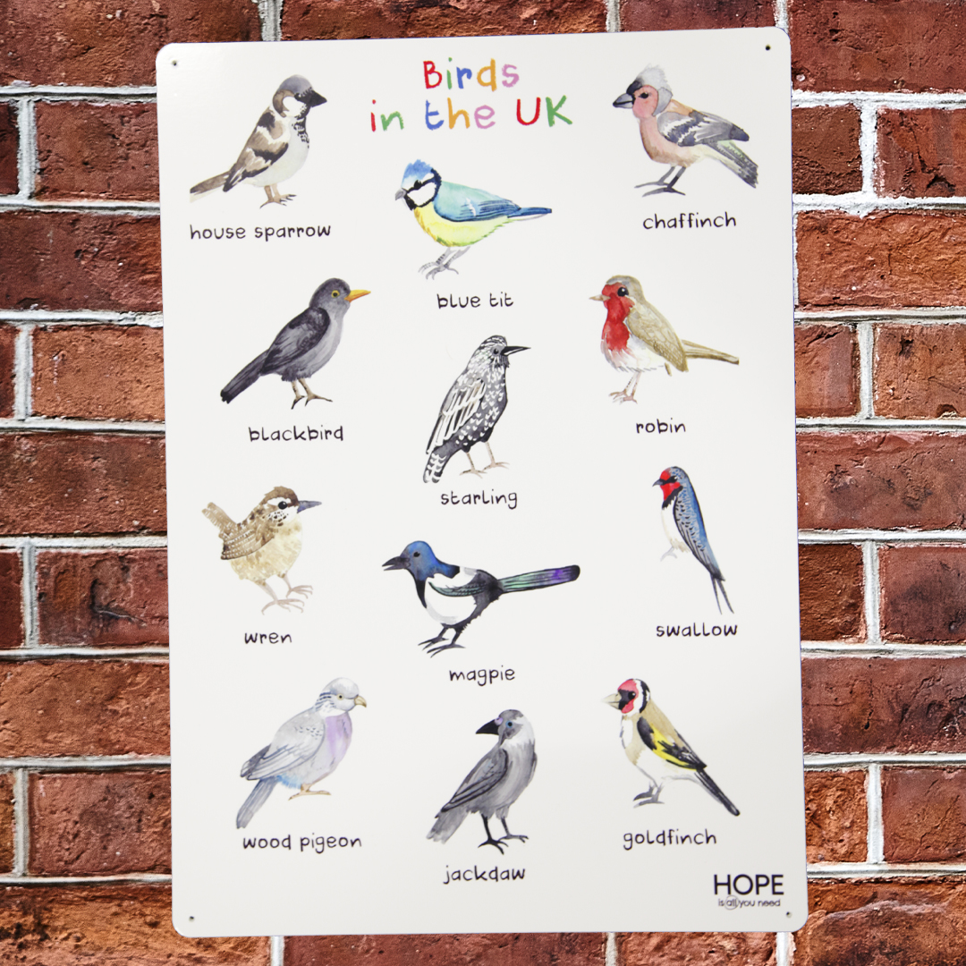 UK Birds Outdoor Sign
