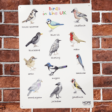 UK Birds Outdoor Sign from Hope Education