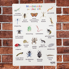 UK Minibeasts Outdoor Sign from Hope Education