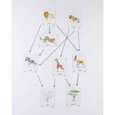 Food Chain African Savannah Magnetic Tiles from Hope Education