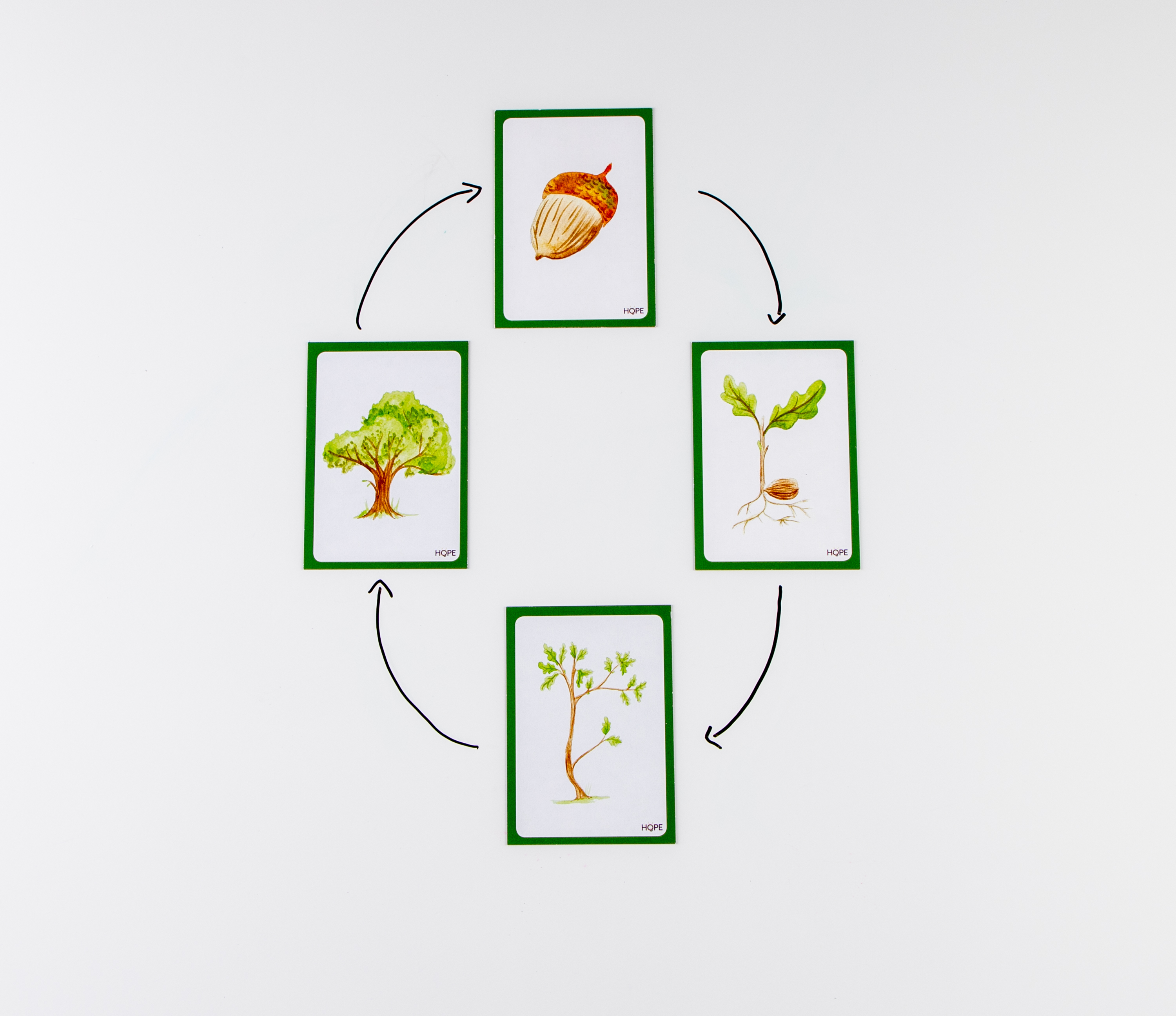 AP00053948 - Food Chain African Savannah Magnetic Tiles Biology Diagrams