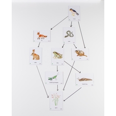 Food Chain UK Countryside Magnetic Tiles from Hope Education