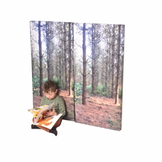 Soft Play Woodland Walk Wall Pads Set of 2 from Hope