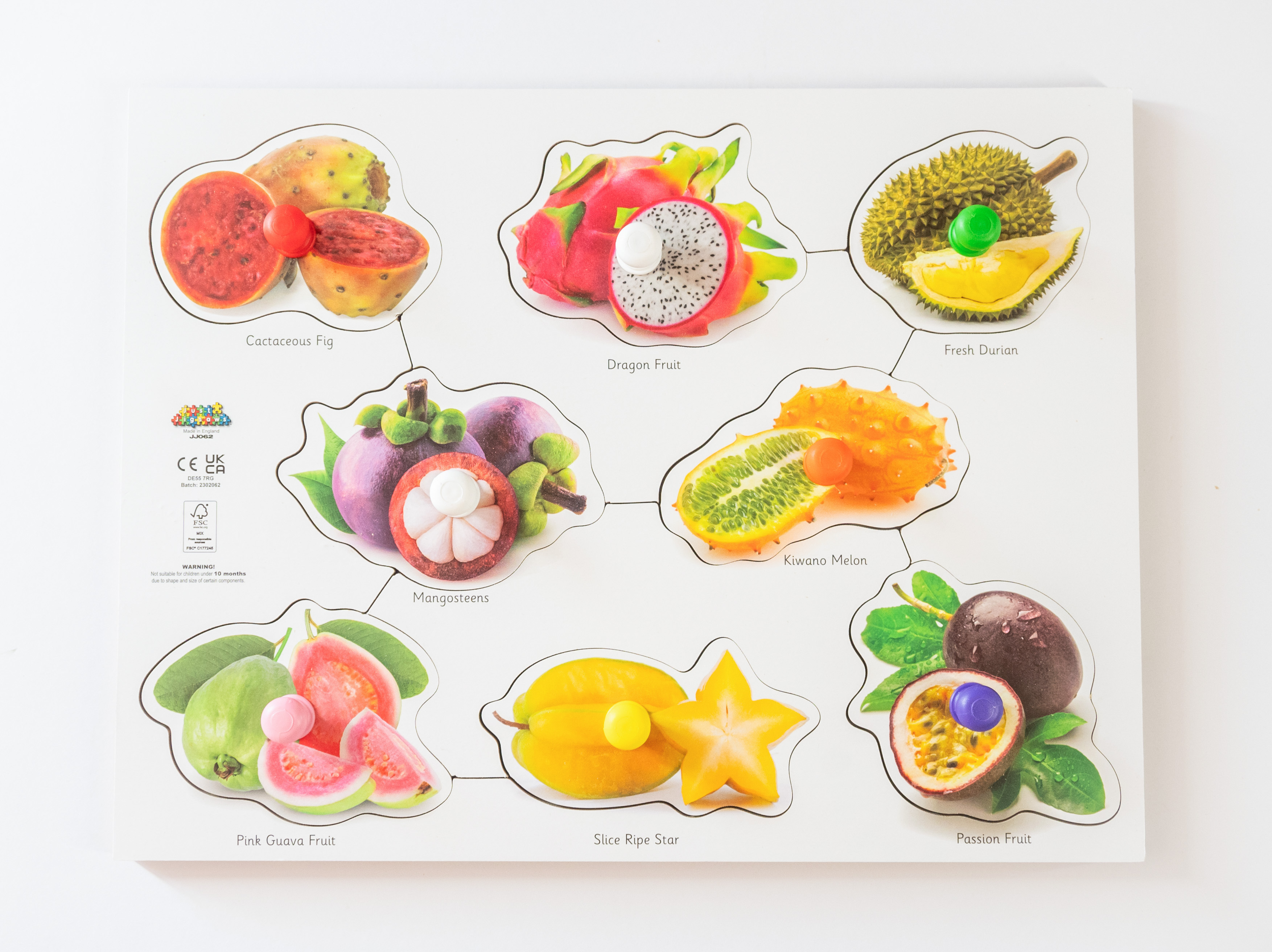 Just Jigsaws Wooden Exotic Fruit Peg Puzzle | CP00054109 | Findel