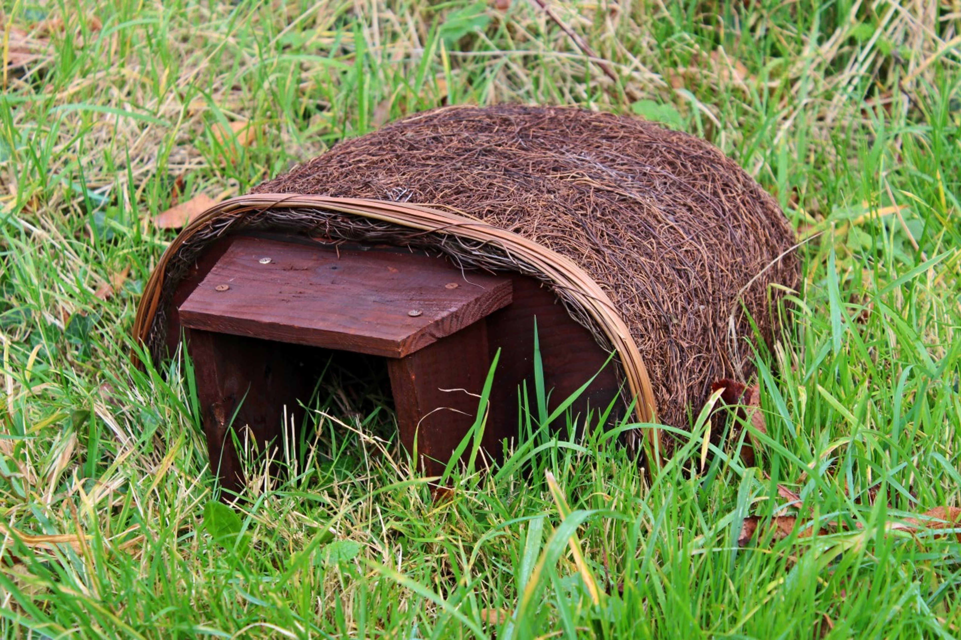 Hedgehog House