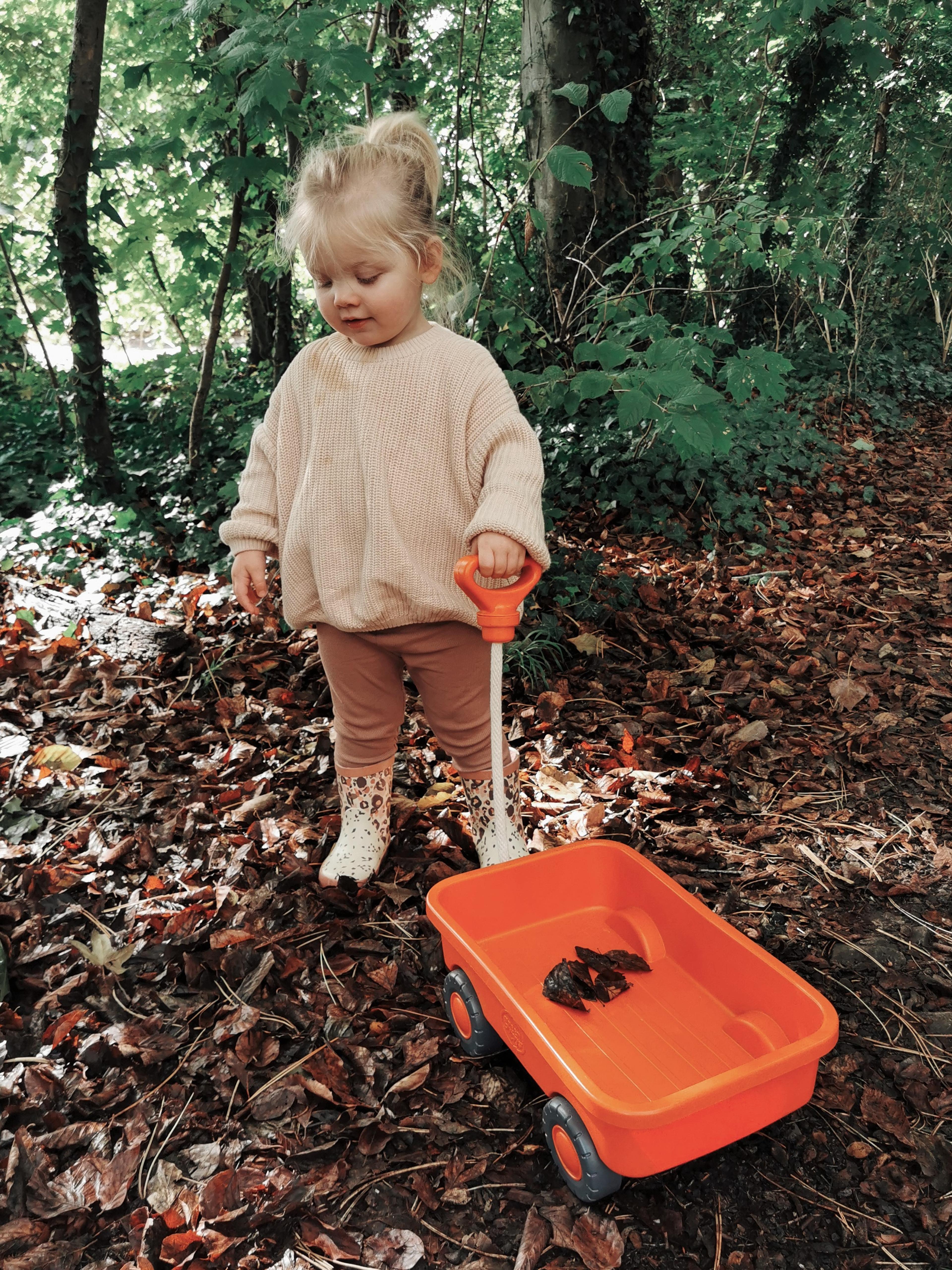 green toys Orange Wagon