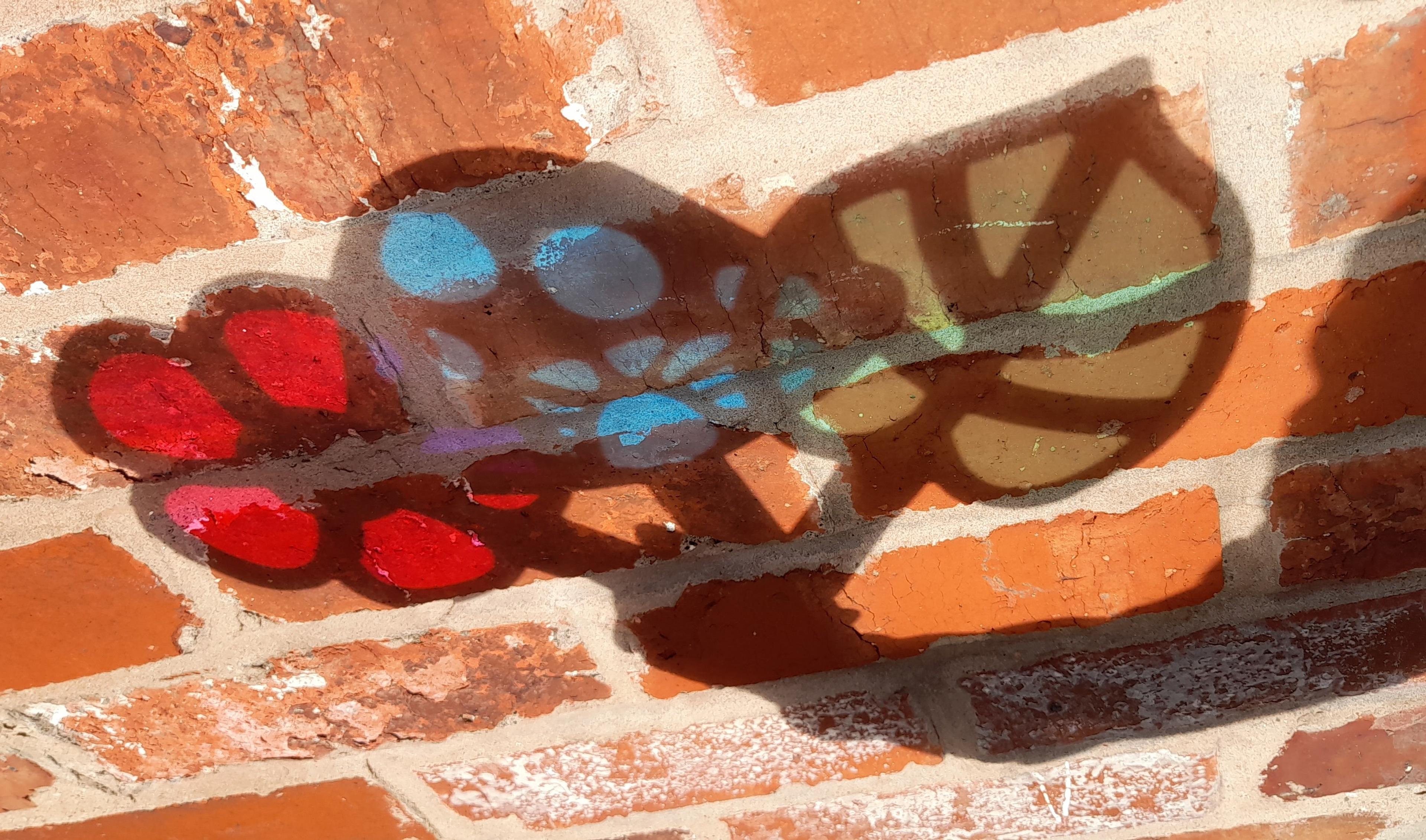 Image 13
