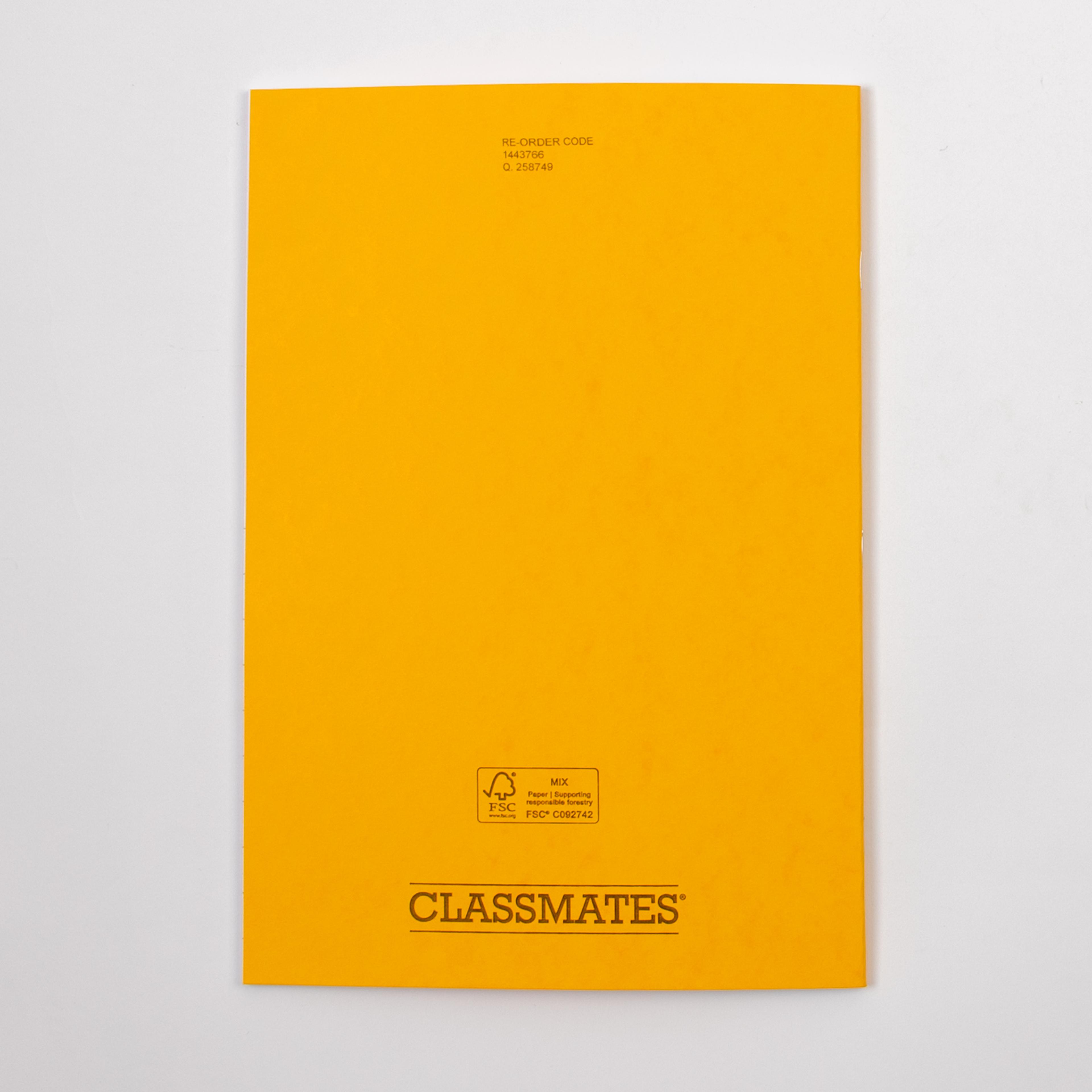 Image 4