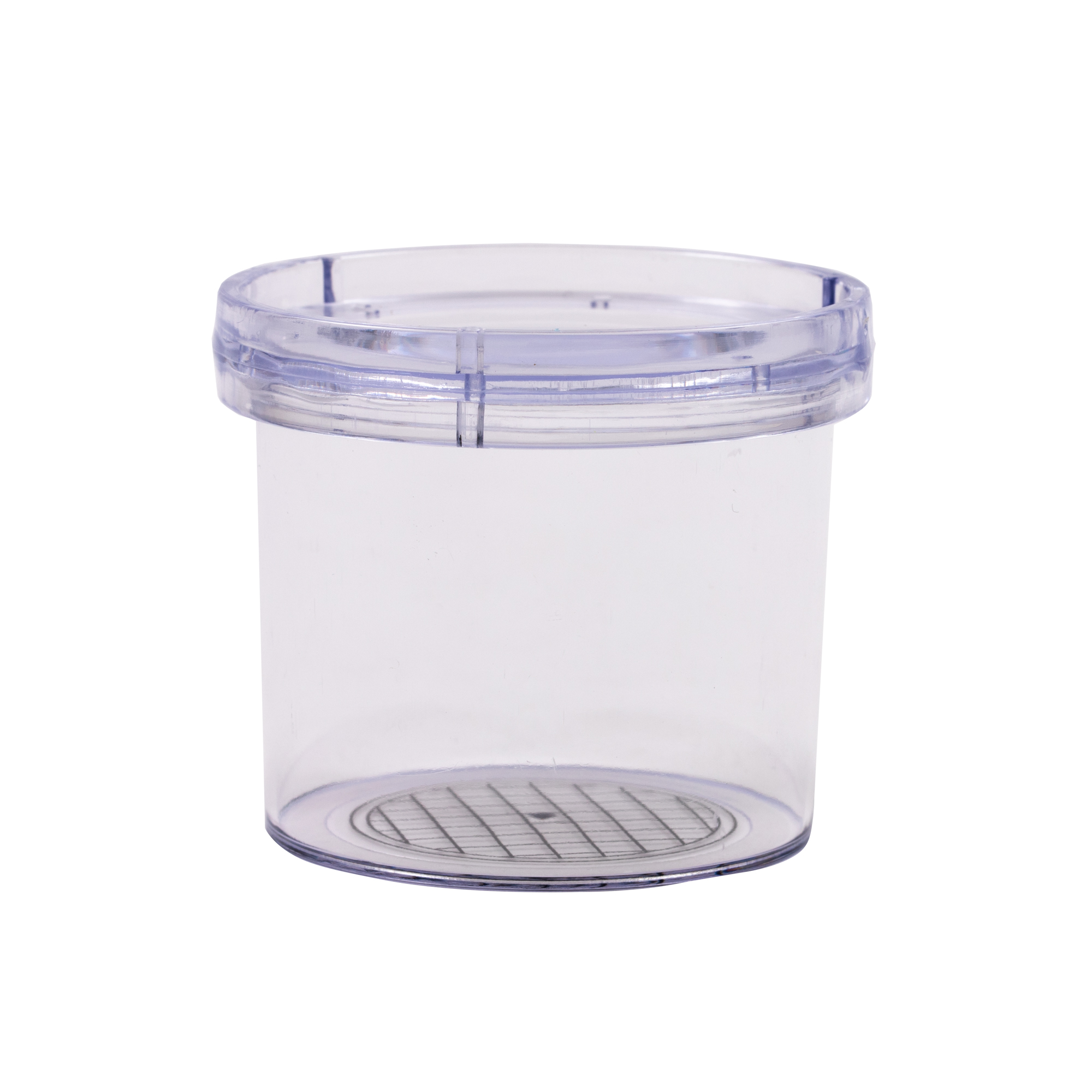 HP00056535 - Bug Pots - Pack of 12 | Hope