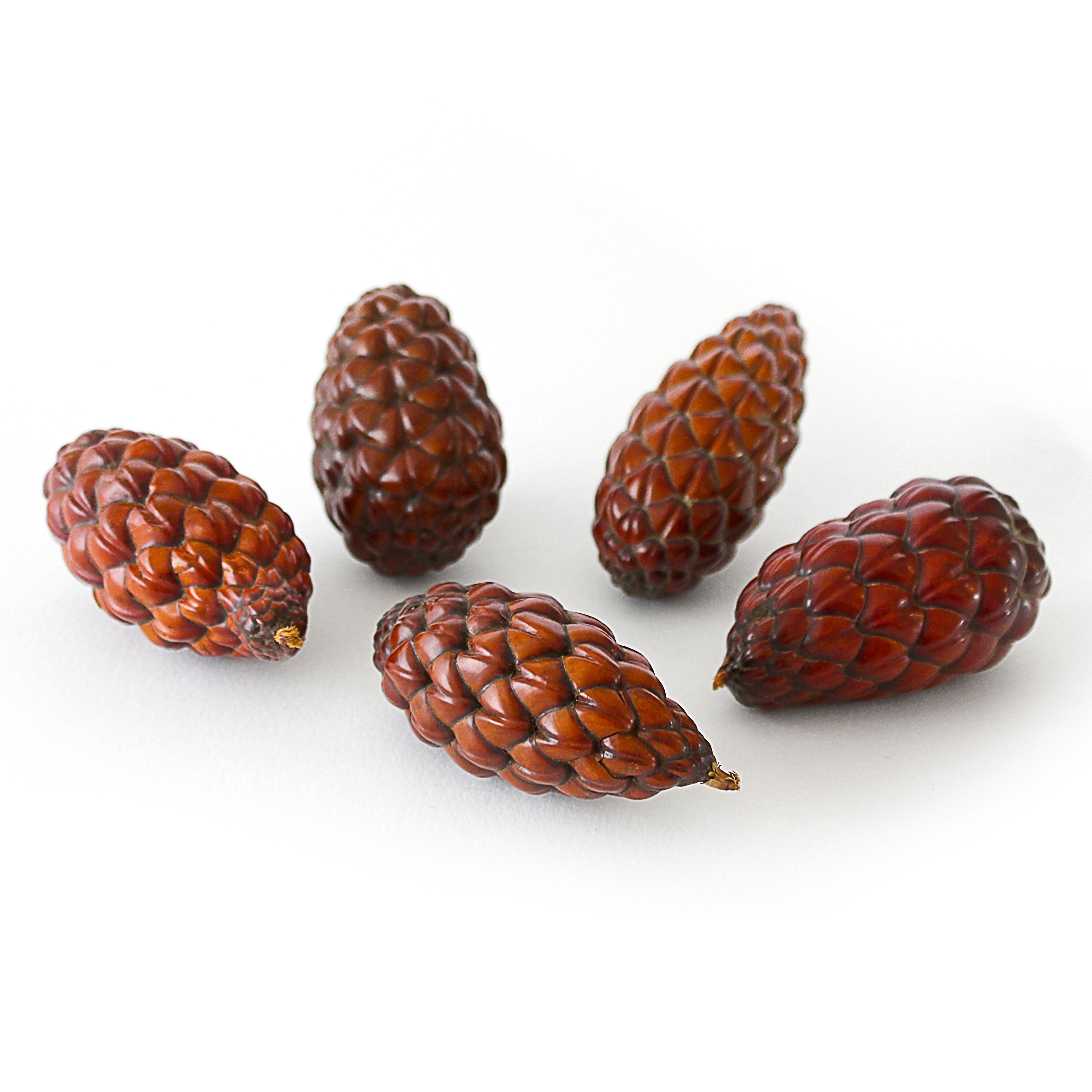 Thika Pods - Pack of 5