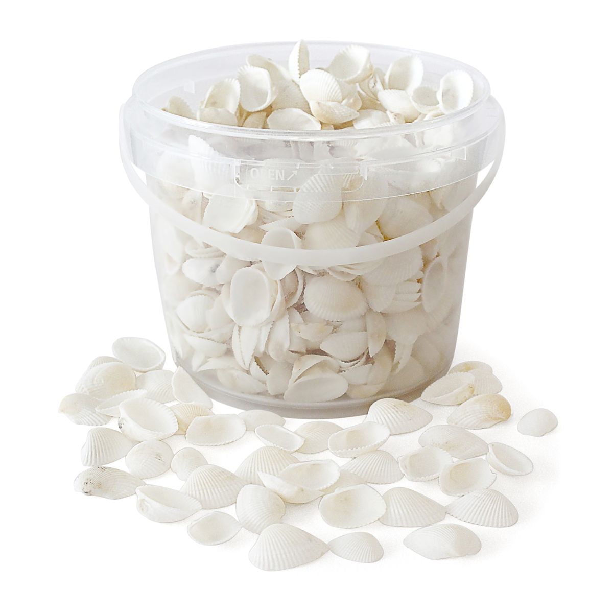 Rainbow Eco Play White Shells - 2.5L | GP00057177 | GLS