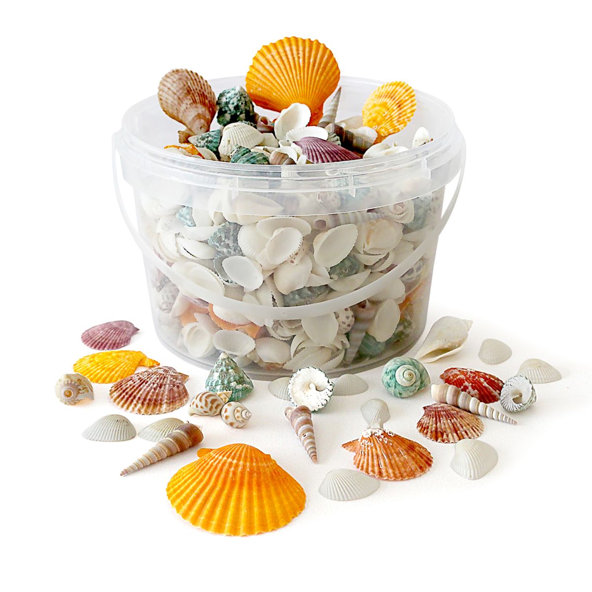 Rainbow Eco Play Mixed Shells - 2.5L | HP00057178 | Hope