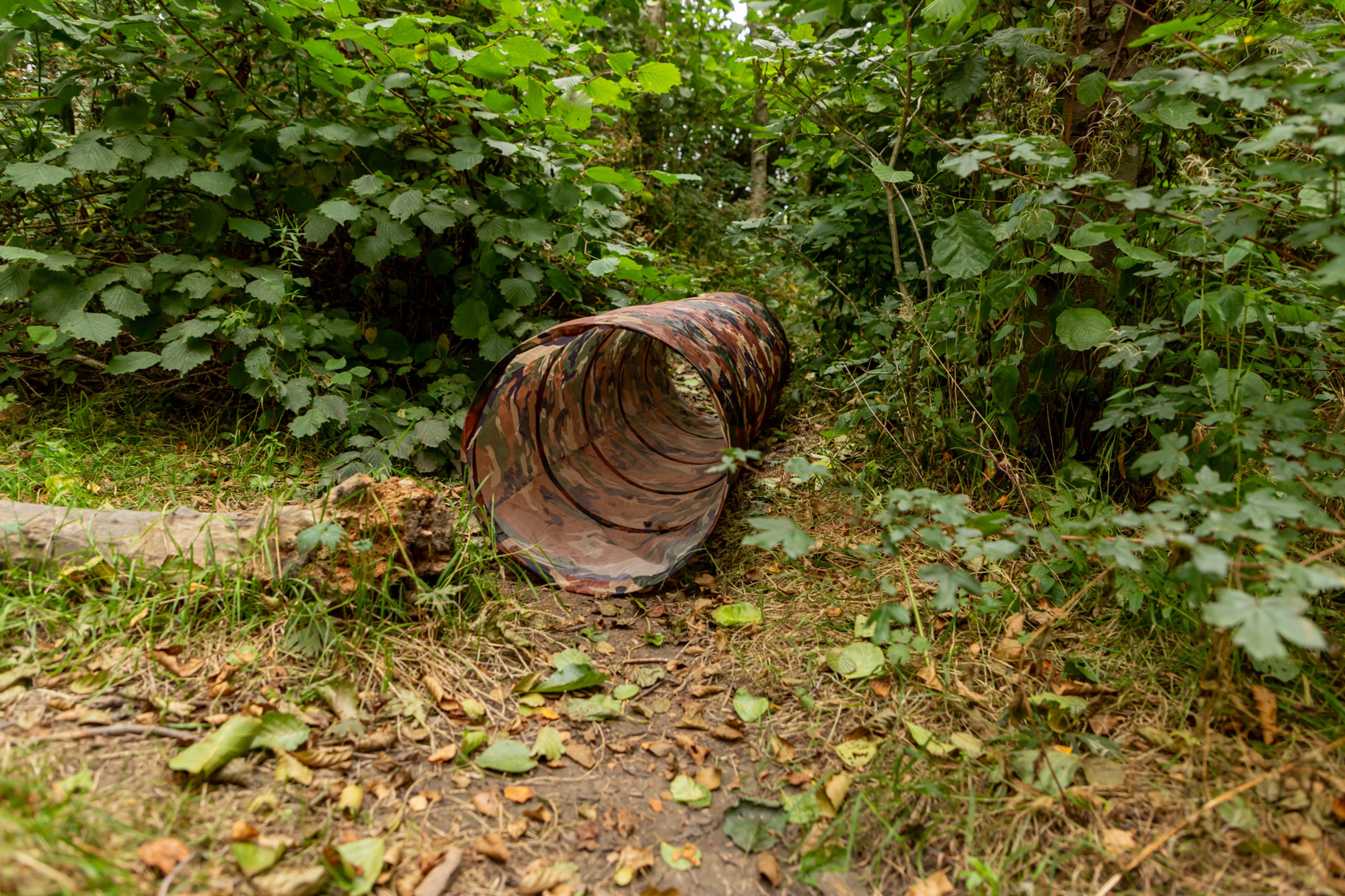 Image 14