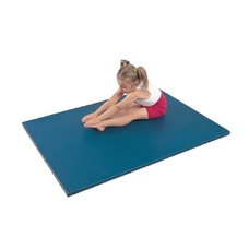 Findel Everyday Essential Gym Mats - Blue - 1.22 x 0.61m x 19mm - Pack of 6 