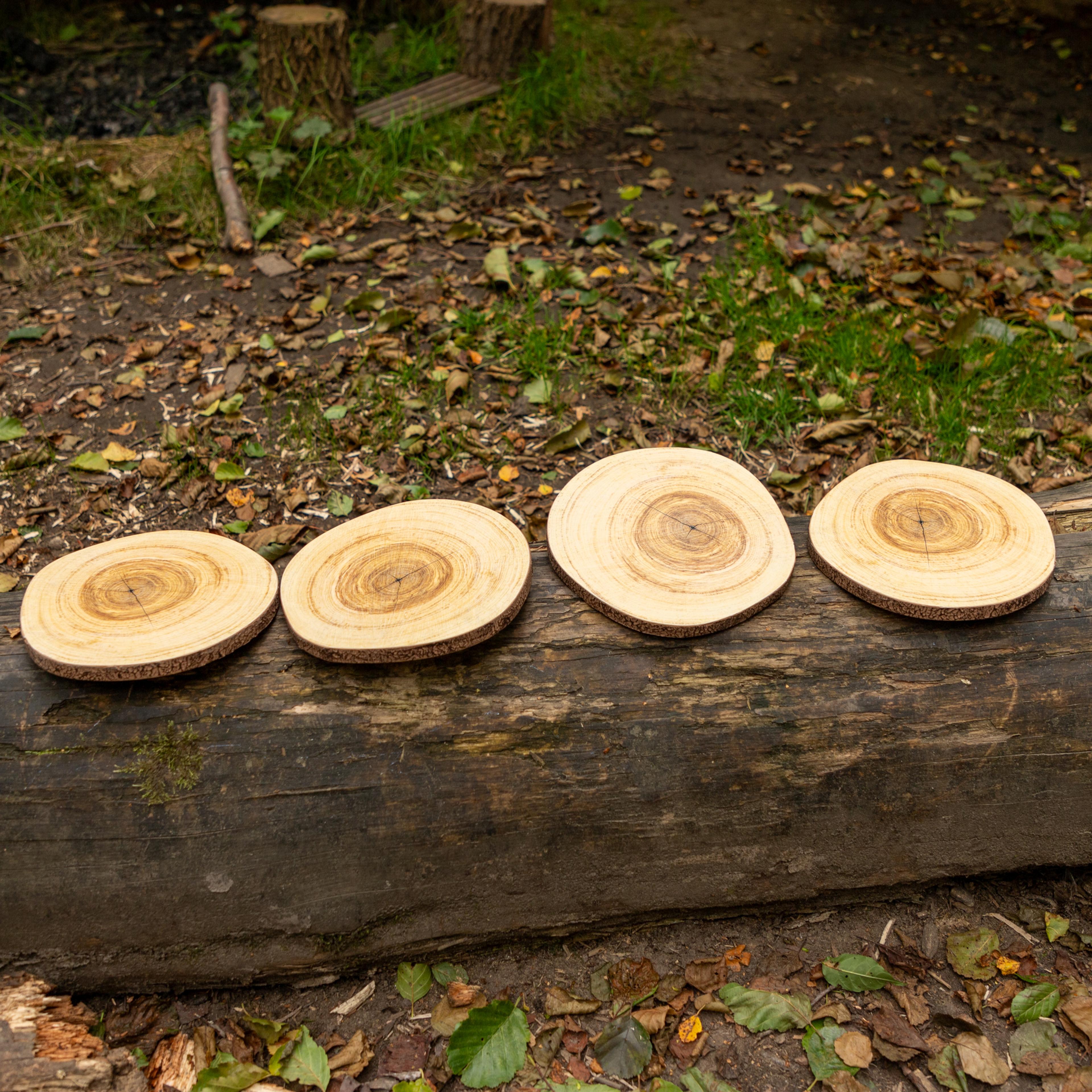 Wood Effect Log Slices from Hope Education - Pack of 4