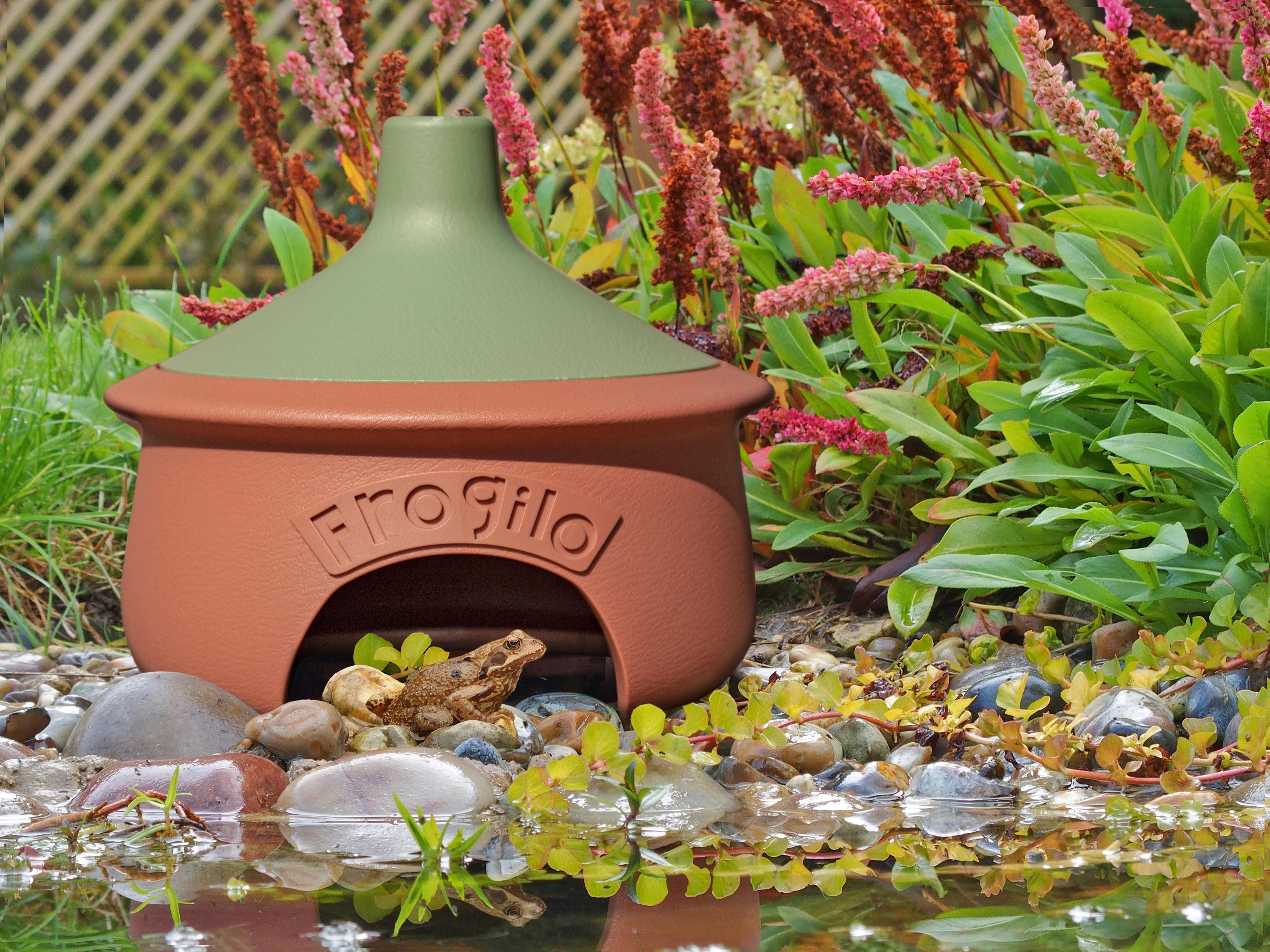 wildlife world Frogilo Frog and Toad Home