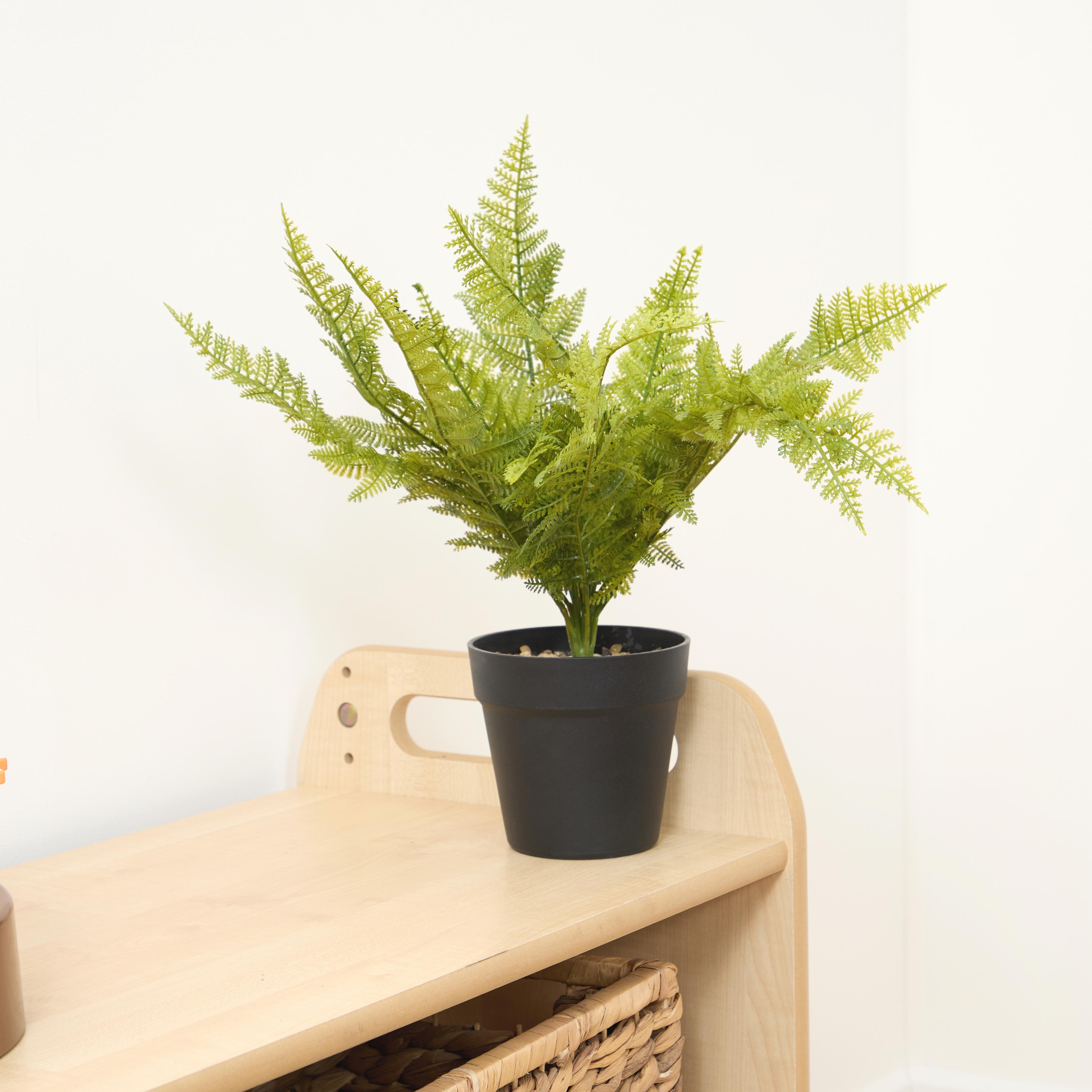 Artificial Fern Plant from Hope Education 