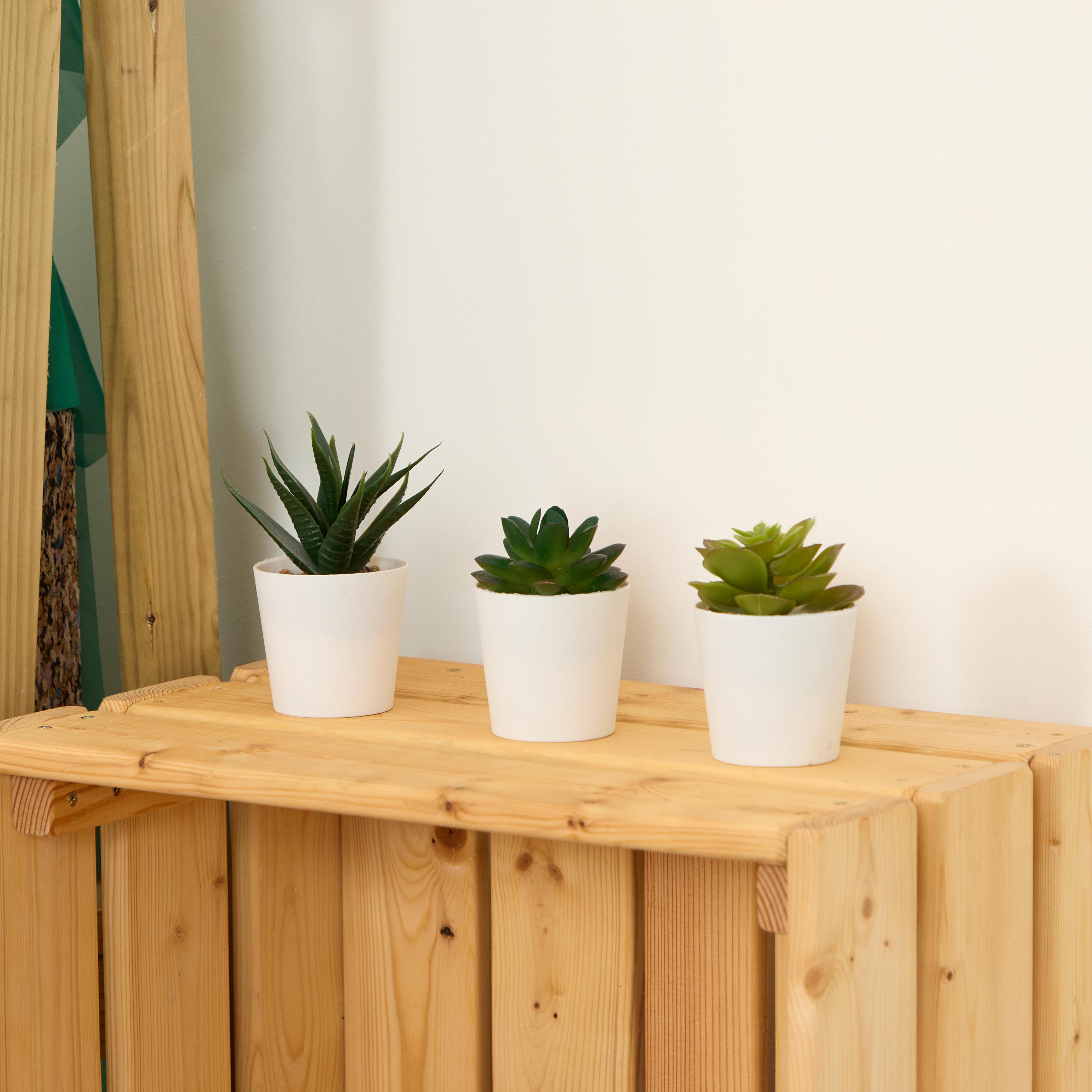 Artificial Succulents from Hope Education  - Pack of 3