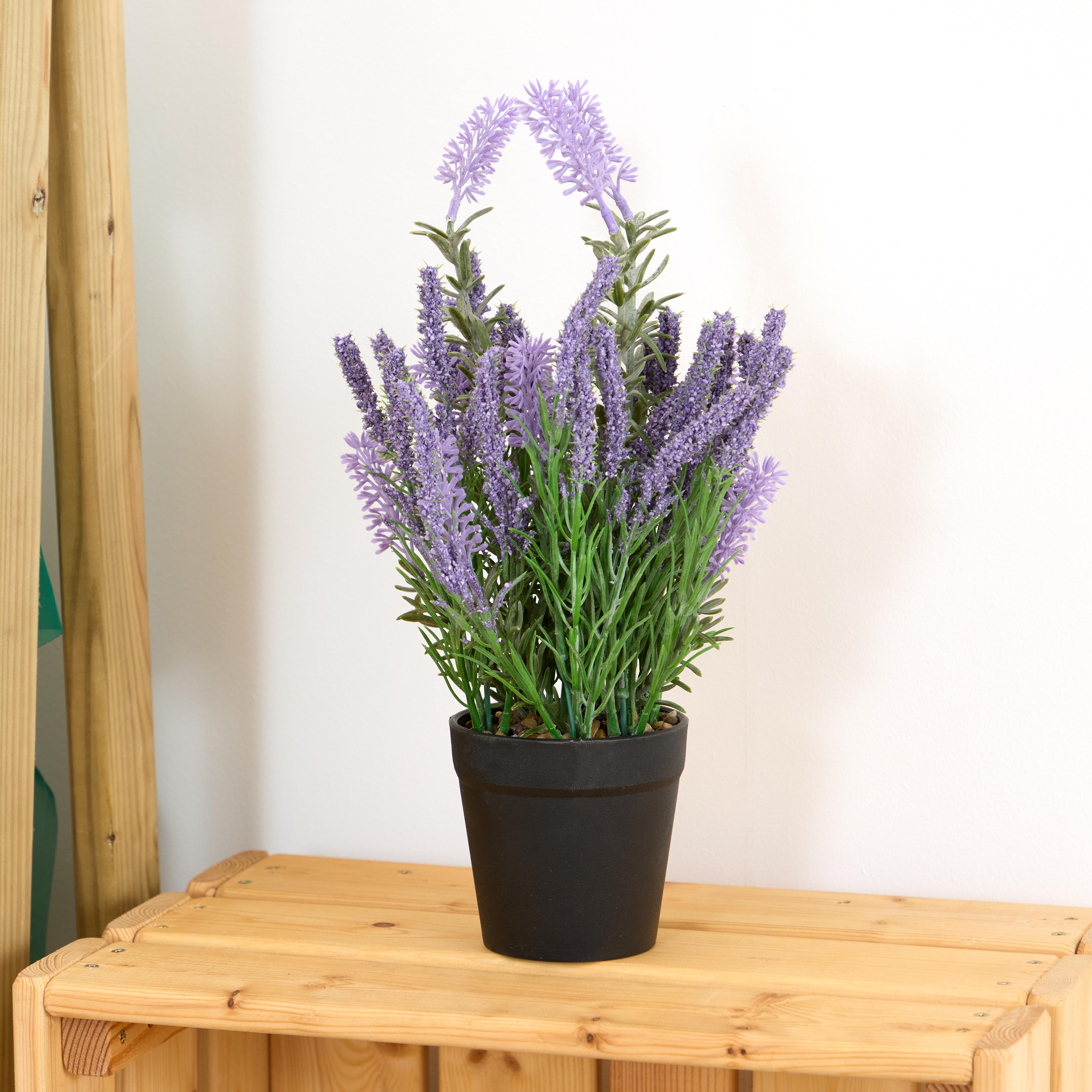 Artificial Lavender Plant from Hope Education